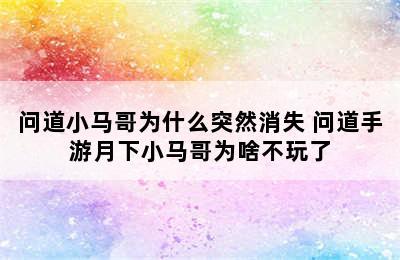 问道小马哥为什么突然消失 问道手游月下小马哥为啥不玩了